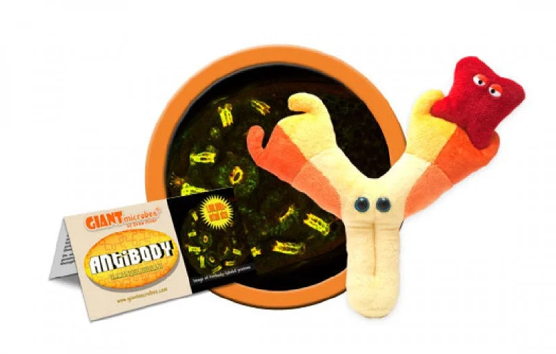 Antibody (Immunoglobulin) - GIANTmicrobes® Plush Toy