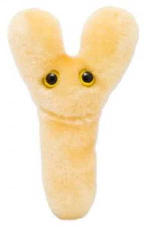 Bifido (Bifidobacterium Longum) - GIANTmicrobes® Plush Toy