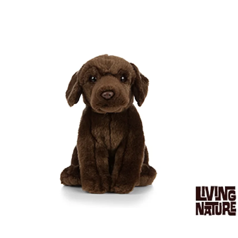 Chocolate Labrador Plush Toy AN458