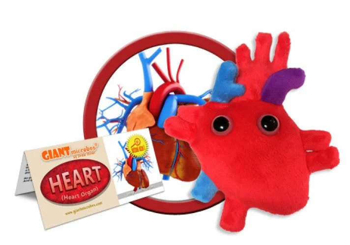 Heart (Heart Organ) - GIANTmicrobes® Plush Toy