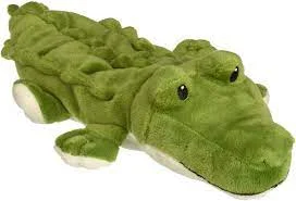 Alligator