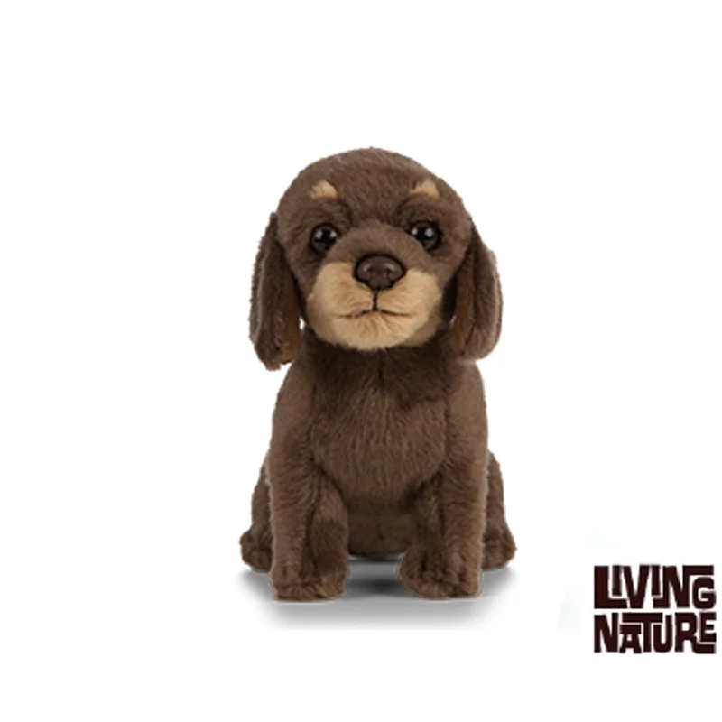 Dachsund Puppy Plush Toy AN446