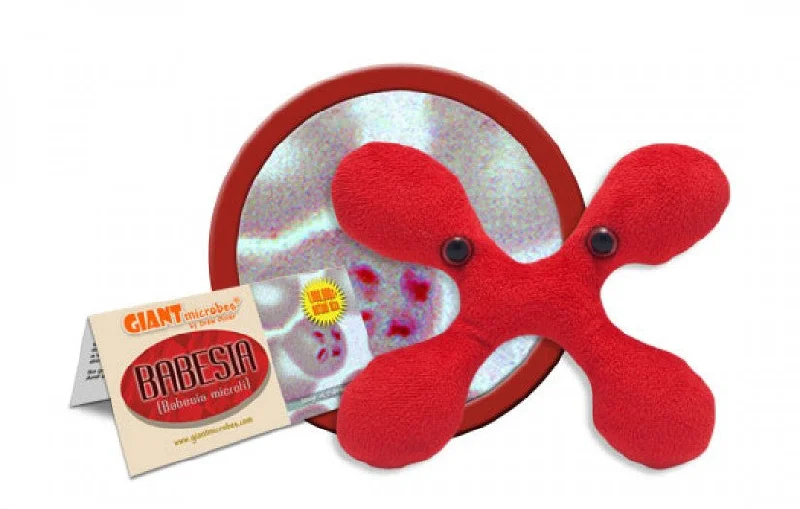 Babesia (Babesia microti) - GIANTmicrobes® Plush Toy