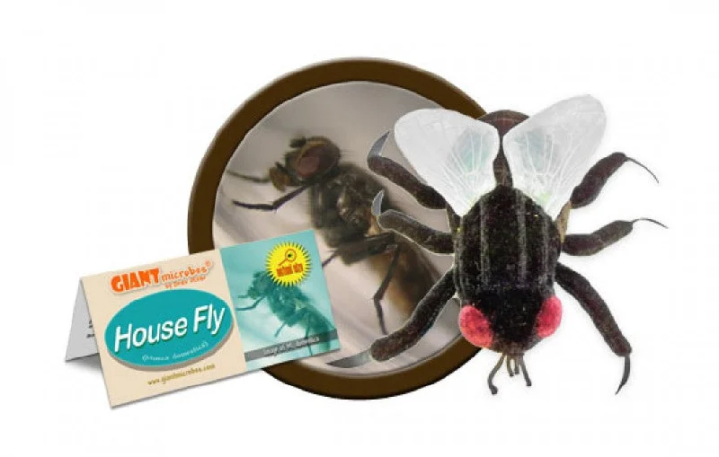 House Fly (Musca domestica) - GIANTmicrobes® Plush Toy