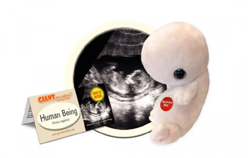 Human Being (Homo Sapiens) - GIANTmicrobes® Plush Toy