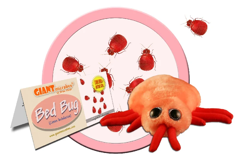 Bed Bug (Cimex lectularius) - GIANTmicrobes® Plush Toy