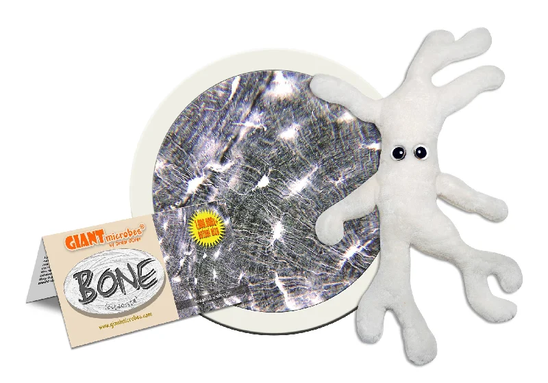 Bone Cell (Osteocyte) - GIANTmicrobes® Plush Toy