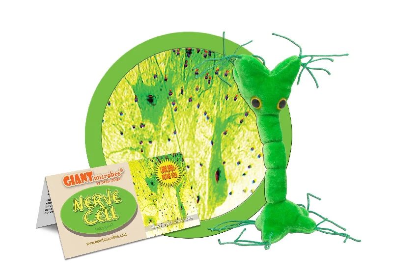 Nerve Cell (Neuron) - GIANTmicrobes® Plush Toy