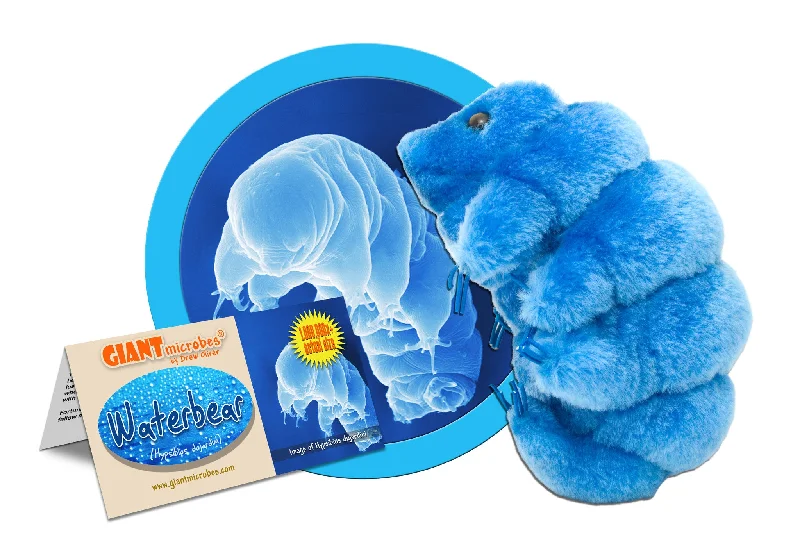 Waterbear (Hypsibius Dujardini) - GIANTmicrobes® Plush Toy