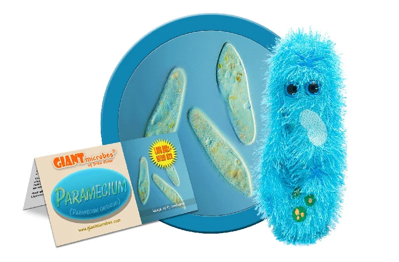 Paramecium (Paramecium Caudatum) - GIANTmicrobes® Plush Toy