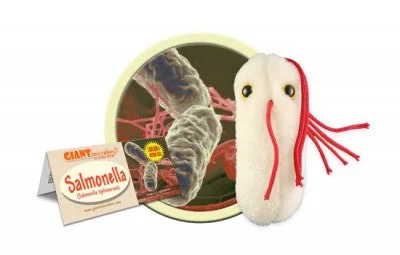 Salmonella (Salmonella Typhimurium) - GIANTmicrobes® Plush Toy