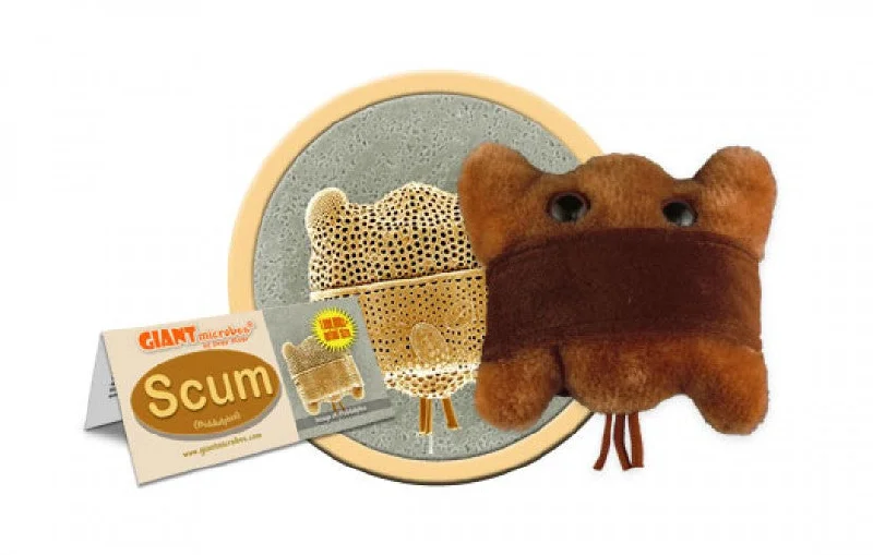 Scum (Biddulphia) - GIANTmicrobes® Plush Toy