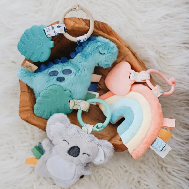 Itzy Ritzy Itzy Pal Plush & Teether