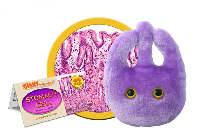 Stomach Cell (Parietal Cell) - GIANTmicrobes® Plush Toy