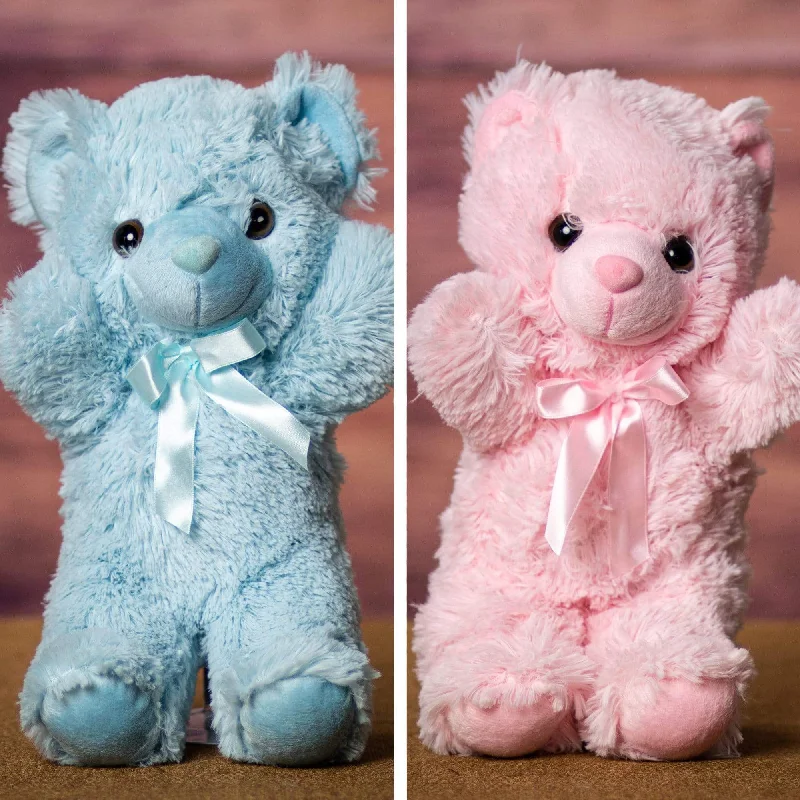 14" Pink or Blue Teddy Bear