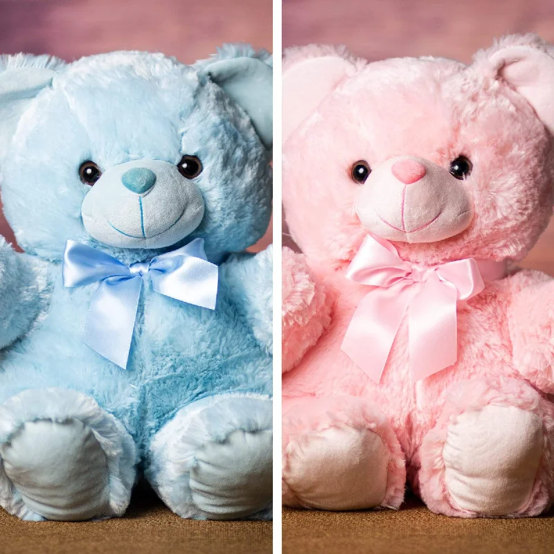 18" Pink or Blue Teddy Bear